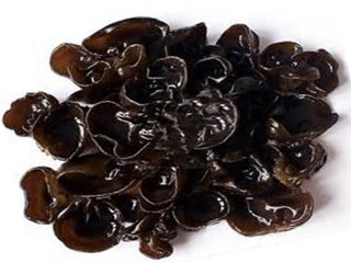 auricularia auricula extract