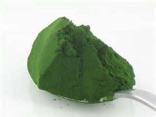 chlorella powder