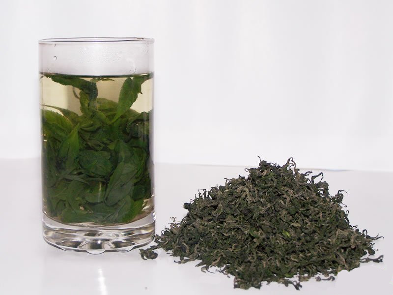 eucommia leaf tea