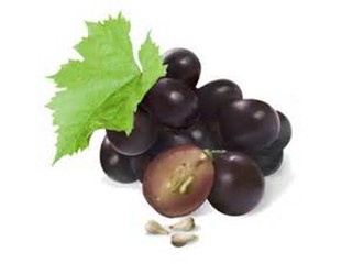 grape seed extract