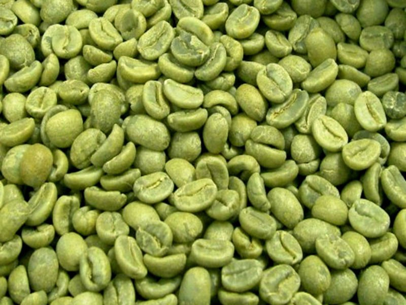 green coffee bean dried