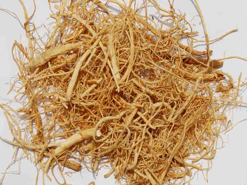 panax ginseng dried