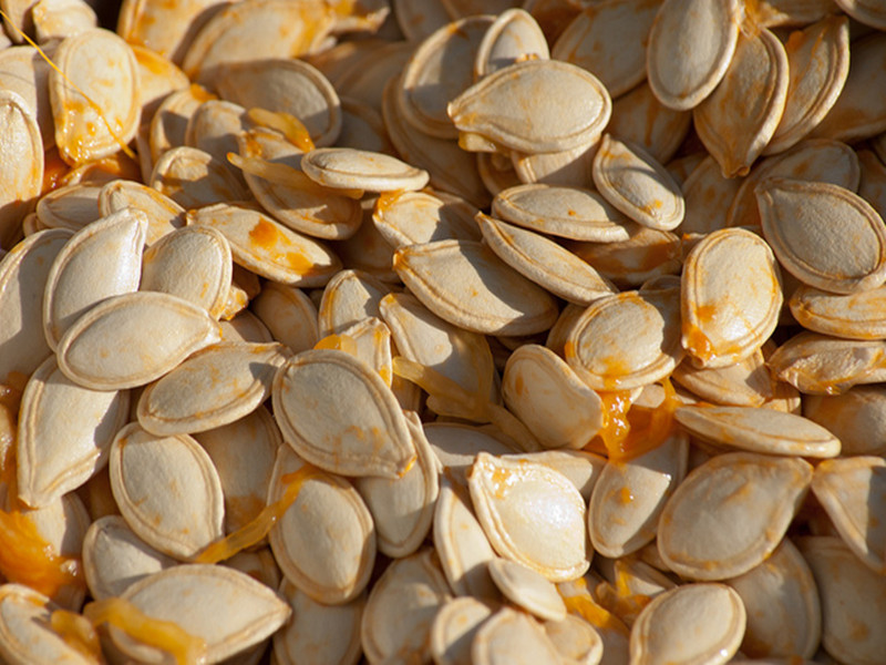 pumpkin seed