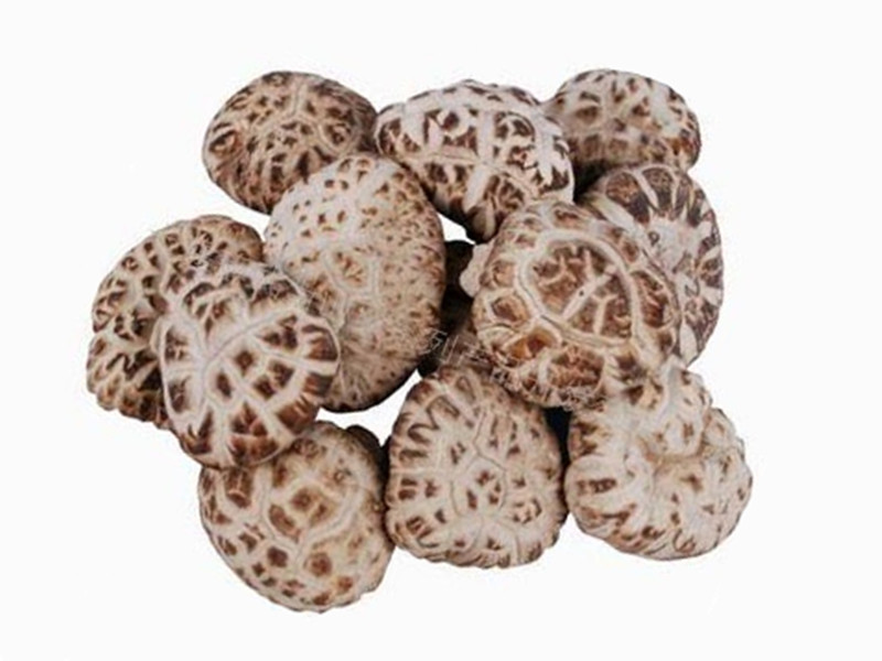 shiitake mushroom dried