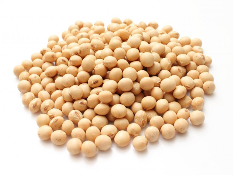 soy beans