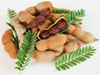 tamarind extract