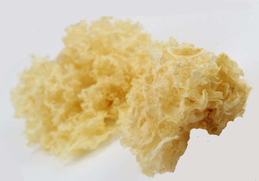 tremella fuciformis dried