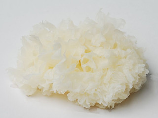 tremella fuciformis extract