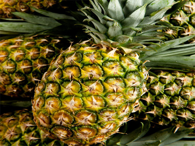 pineapple fruit