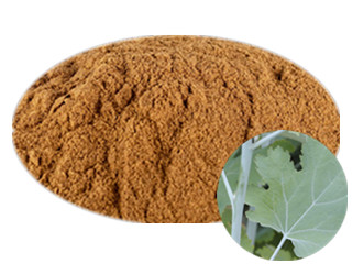 macleaya cordata extract powder