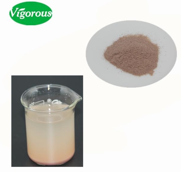 Red Bean Extract Powder